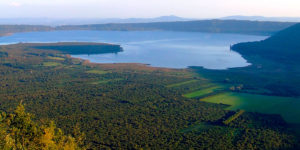 comunità montana dei cimini